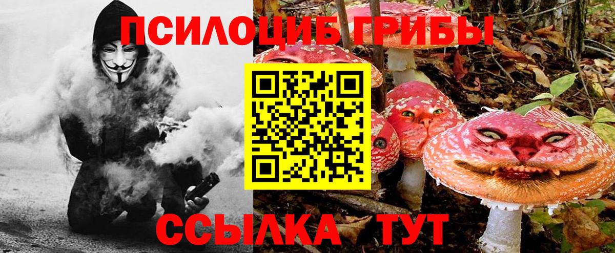 Псилоцибиновые грибы Magic Shrooms  Вход с VPN  Выборг  Галлюциногенные грибы прущие грибы 