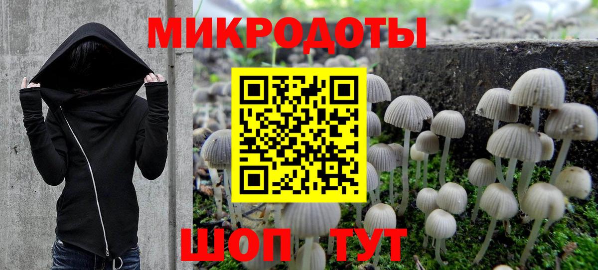 Псилоцибиновые грибы прущие грибы Выборг